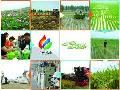 实施大米追溯，保障食品质量安全--光明米业(图1)