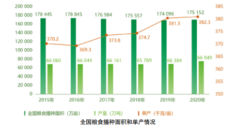 守住粮食安全底线 端牢中国人的饭碗(图1)